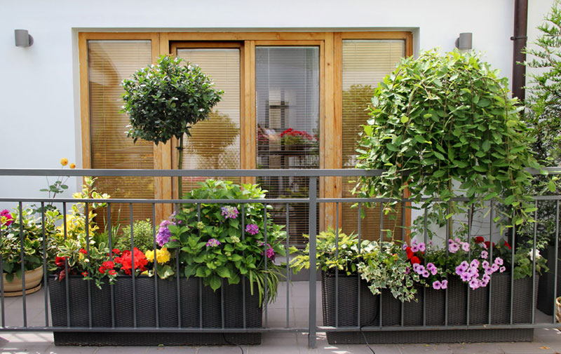  балкона цветами » Дом, сад и огород - актуальные и полезные .